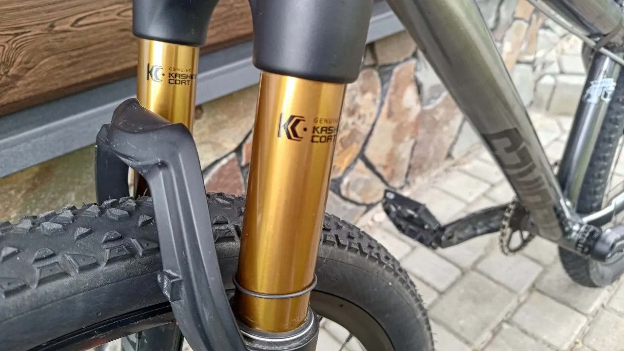 NS Bikes Decade V2 кастом байк фото 5