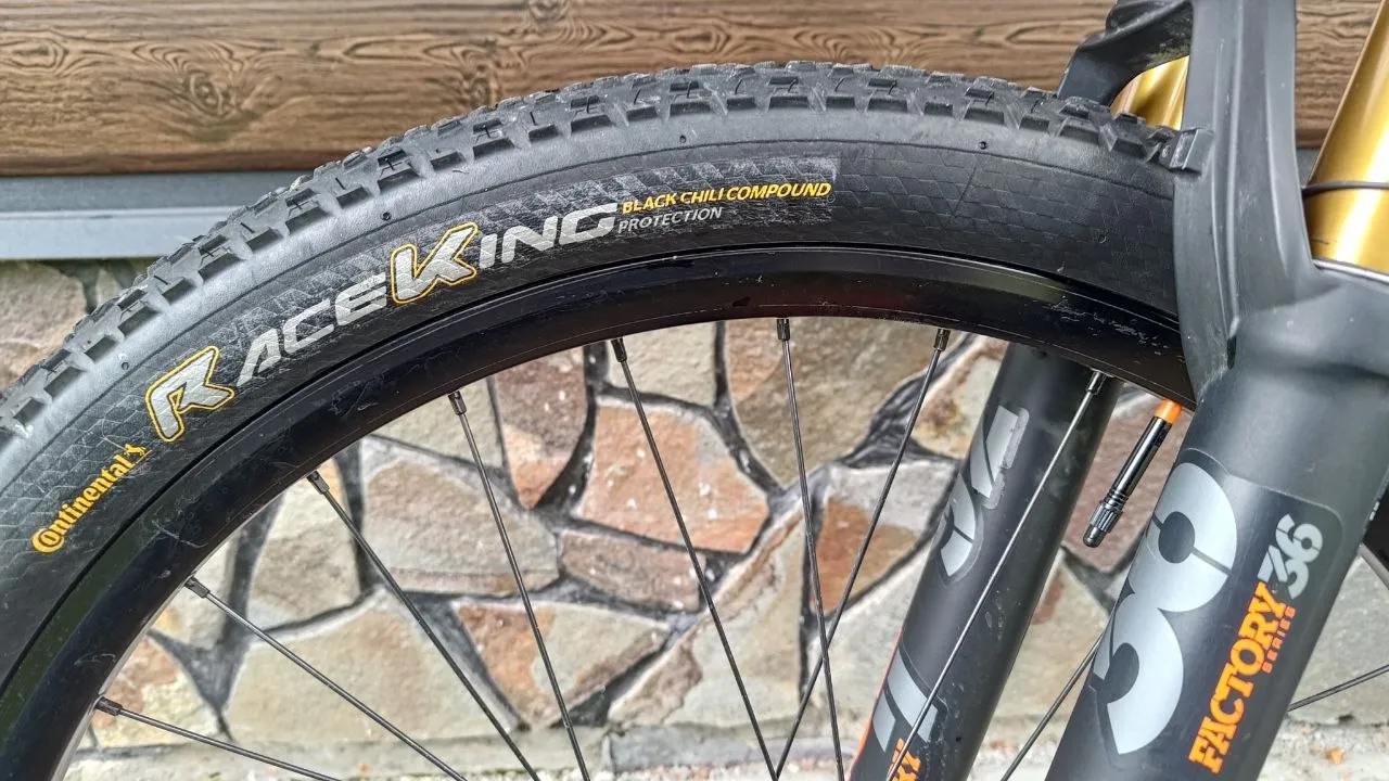 NS Bikes Decade V2 кастом байк фото 8