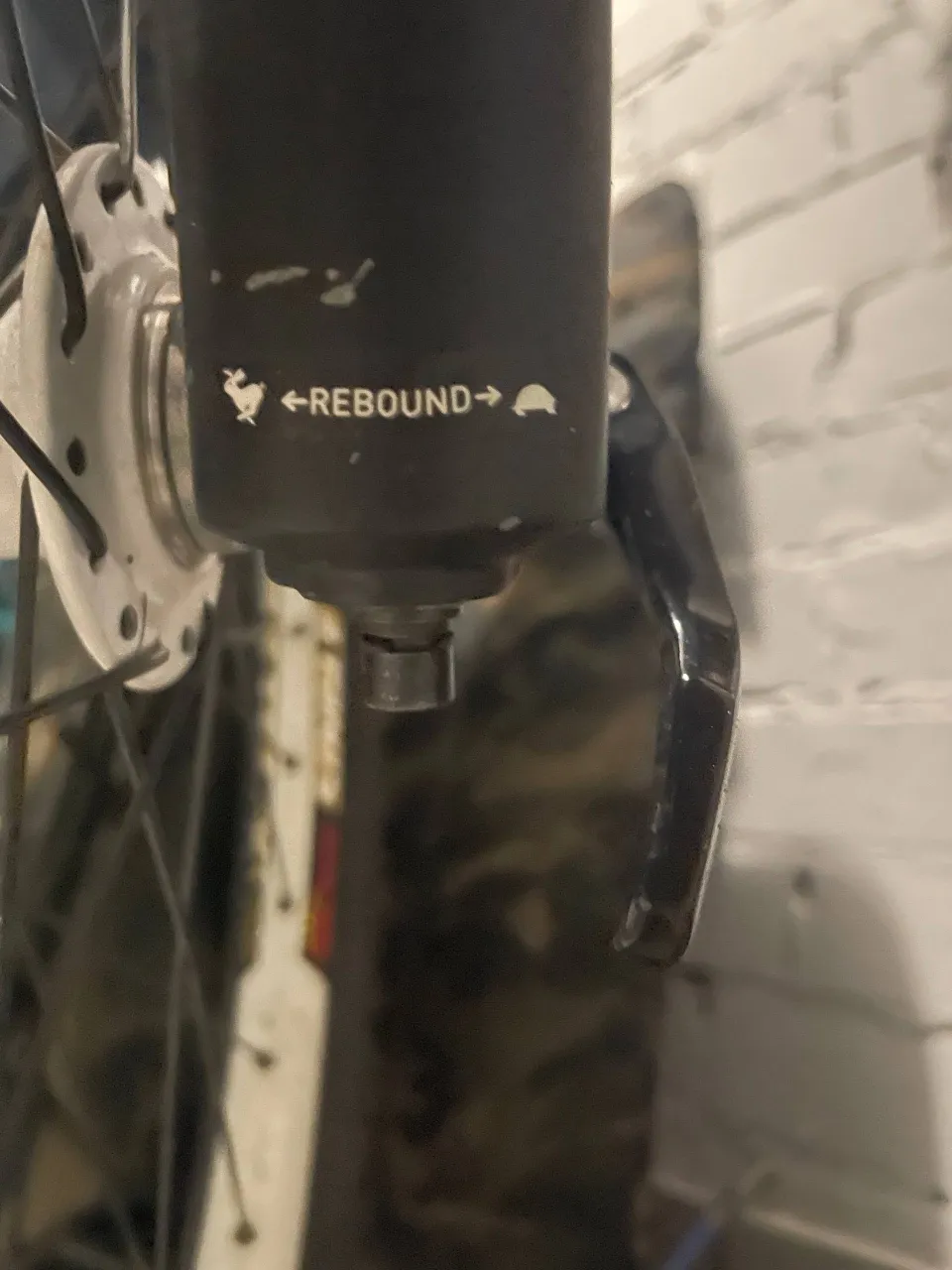 Вилка Rock Shox Domain RCT фото 3