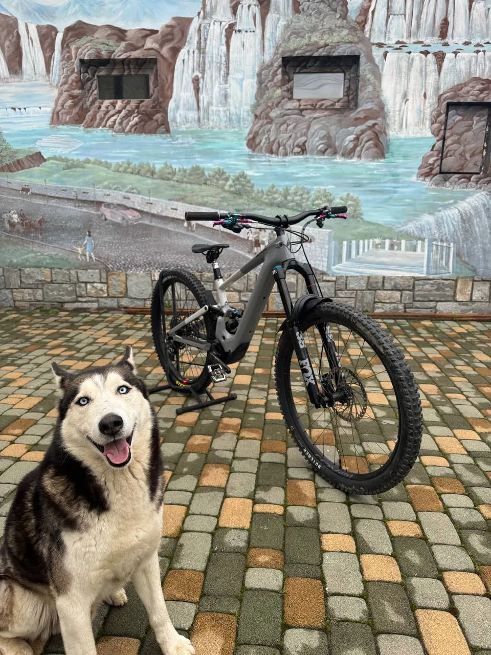 Specialized Kenevo SL S2 фото 9