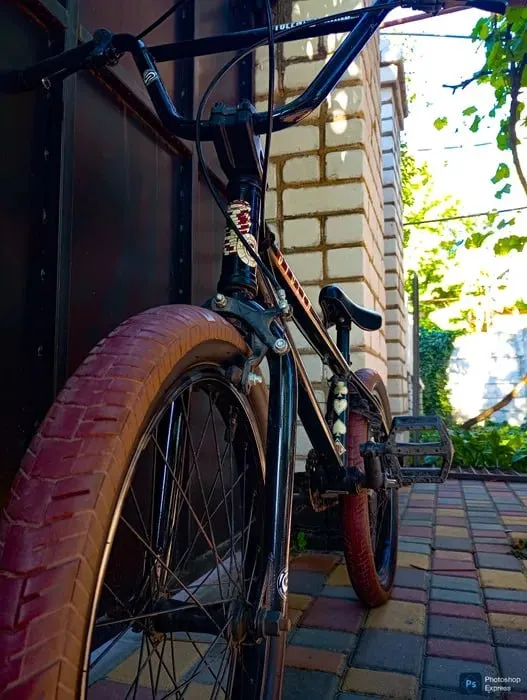 BMX Stolen Casino 2021 фото 1