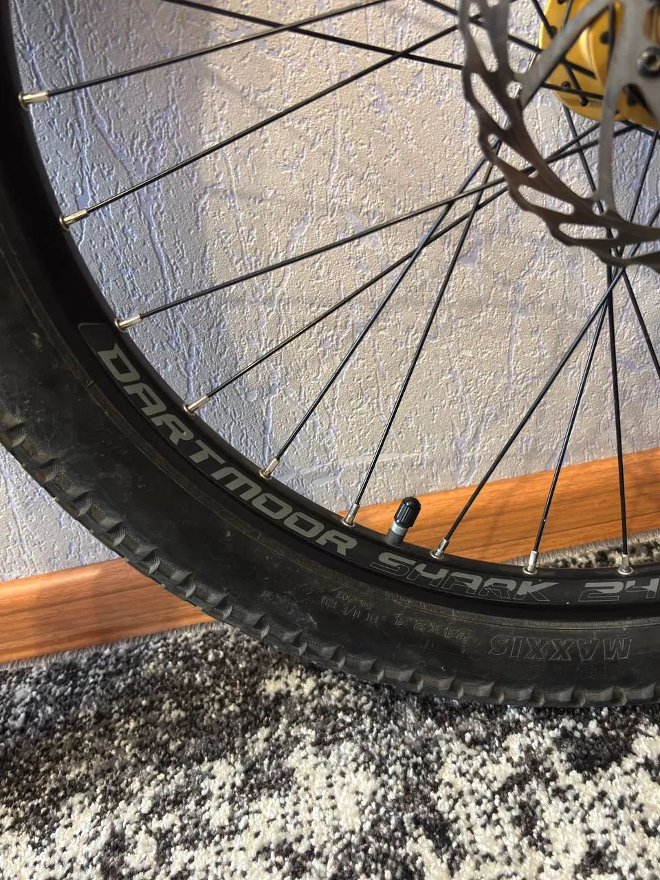 Wheelset 24 Dartmoor Shark + Maxxis Holy Roller фото 6
