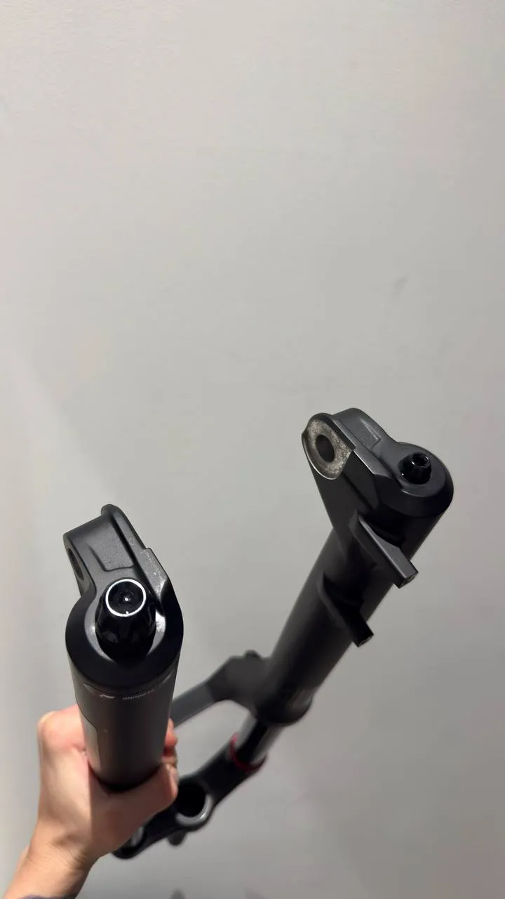 2 вилки Fox Domain R 29" 180mm фото 6