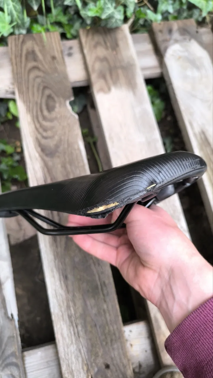 Сідло Selle Royal Bulls фото 3