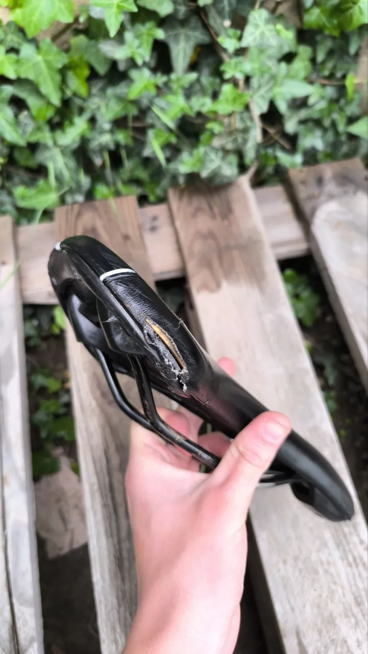 Selle Royal Eon сідло фото 2