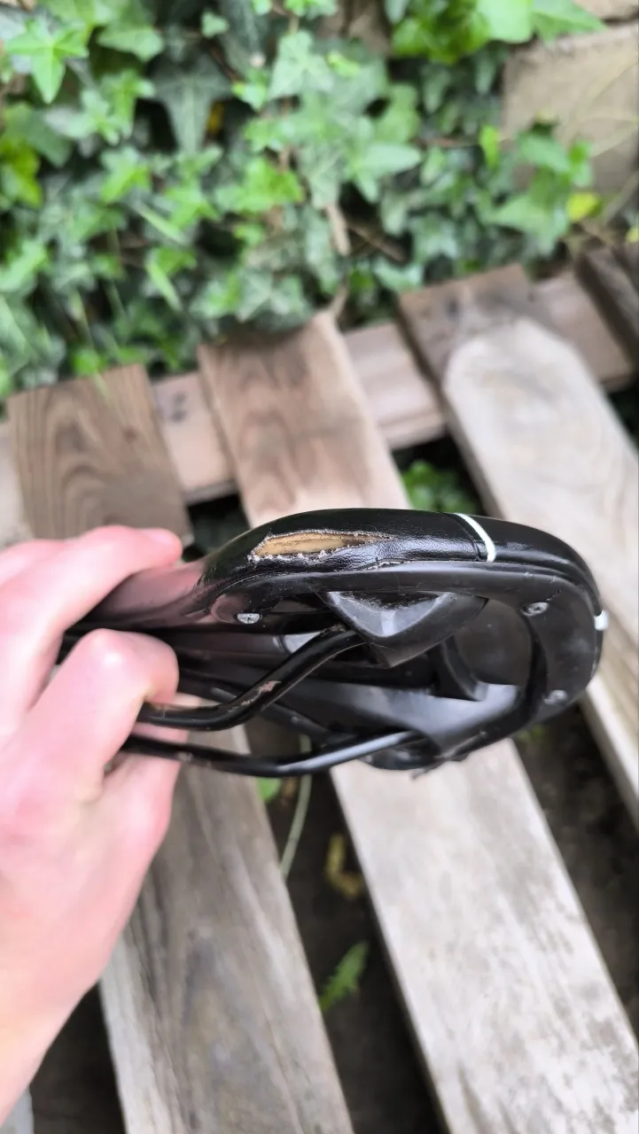 Selle Royal Eon сідло фото 3