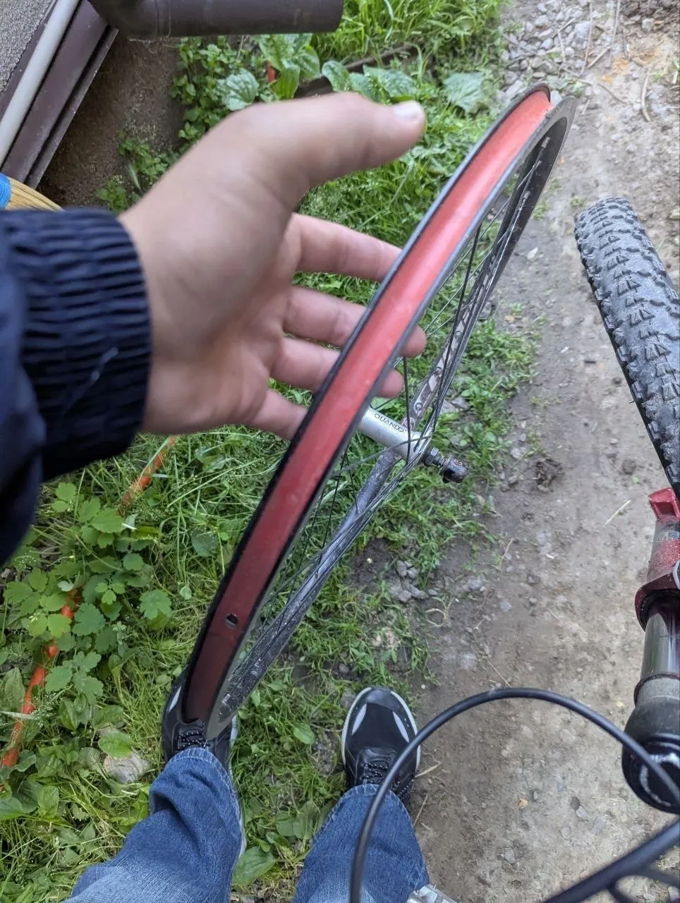 Колесо Bontrager 26" з ободом та втулкою Quando фото 3