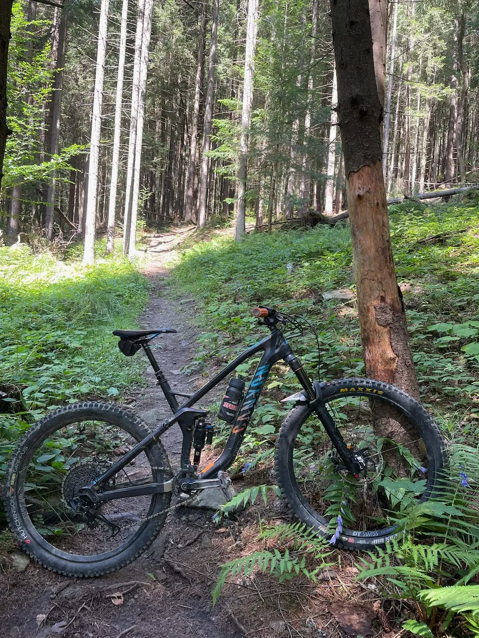 Canyon Strive CF 7.0 Race карбонова рама 160 мм фото 2
