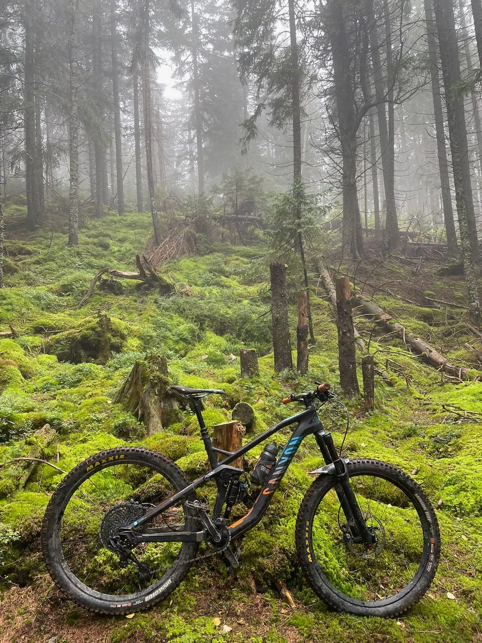Canyon Strive CF 7.0 Race карбонова рама 160 мм фото 3