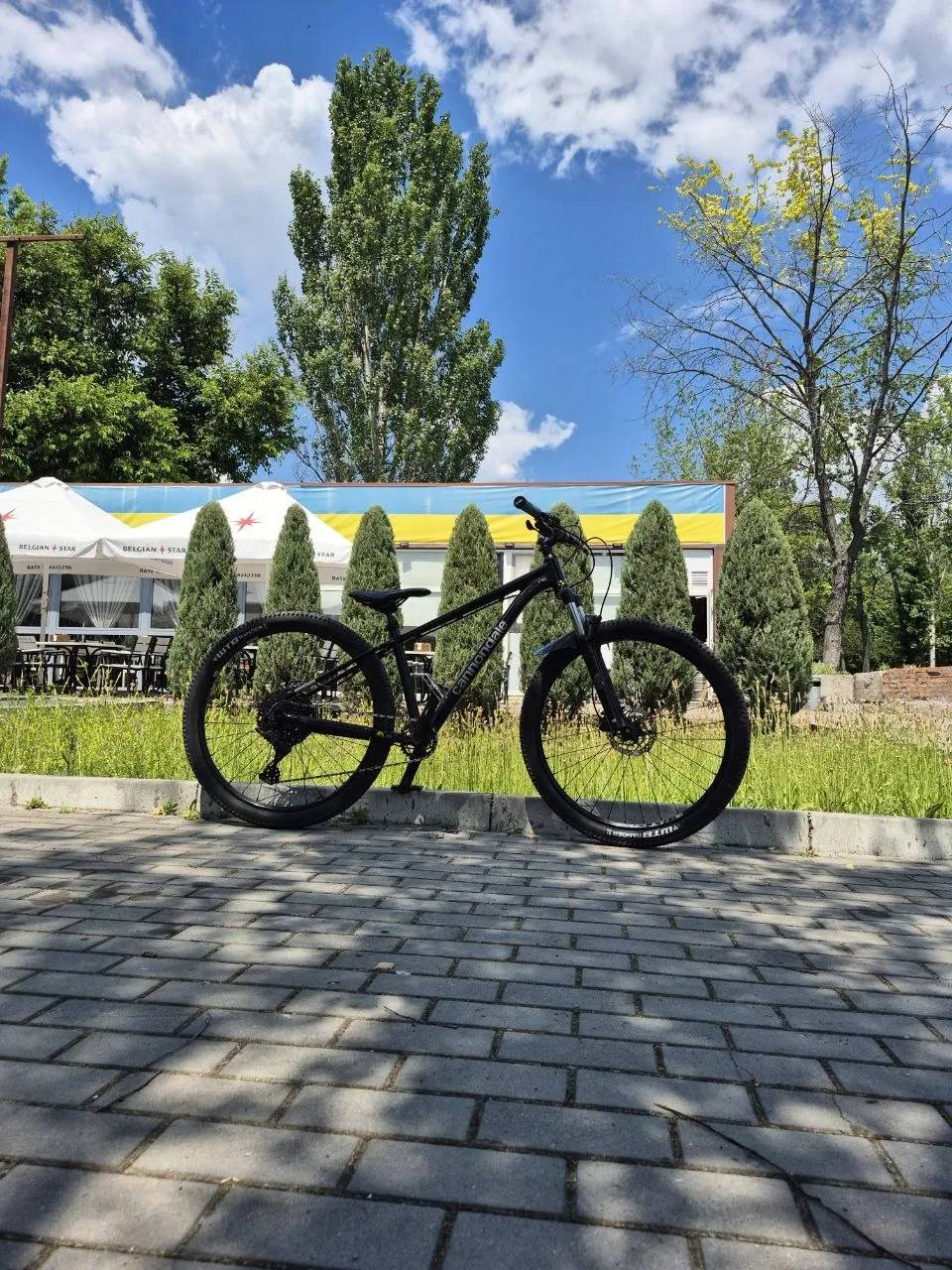Cannondale Trail 5 фото 2