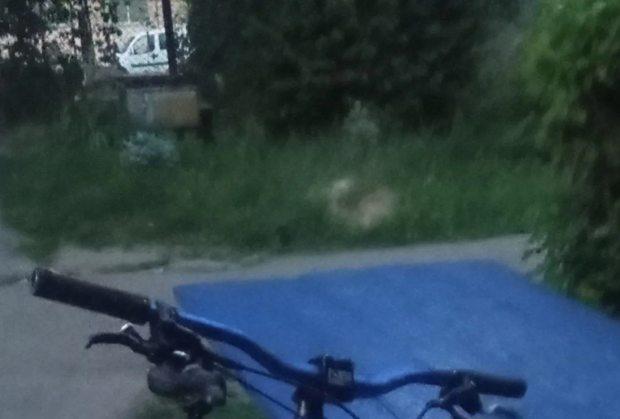 Руль Fun Fatboy фото 1