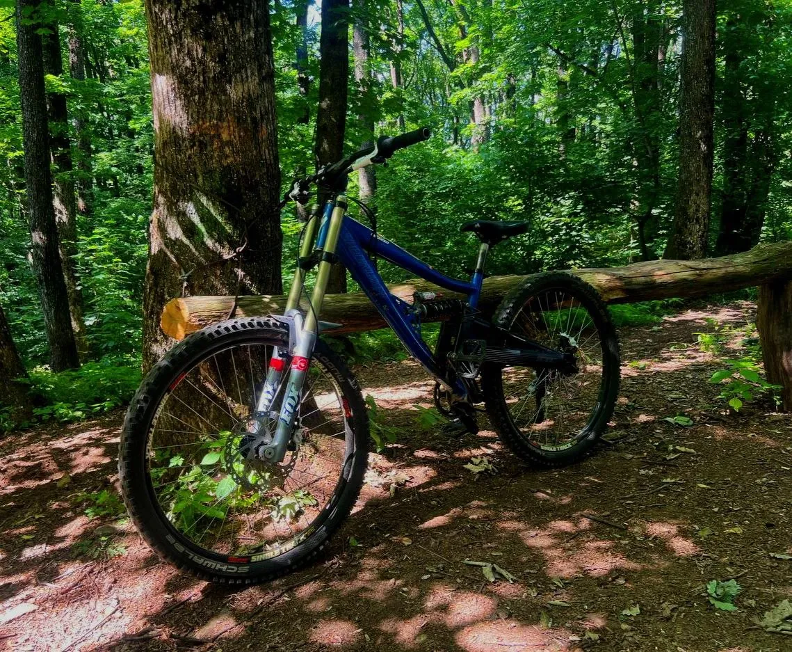 Specialized Big Hit Sport + Rock Shox Boxxer + Fox Vanilla RS фото 2