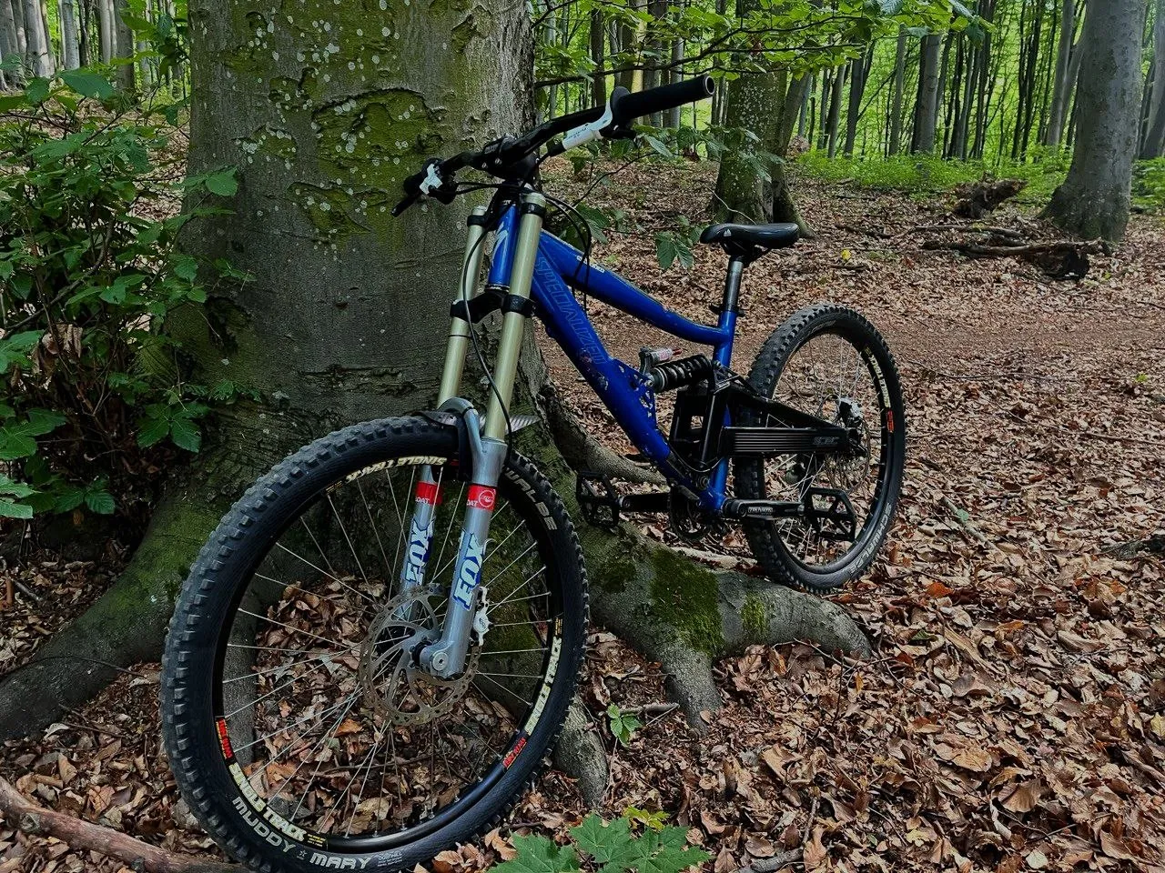 Specialized Big Hit Sport + Rock Shox Boxxer + Fox Vanilla RS фото 4