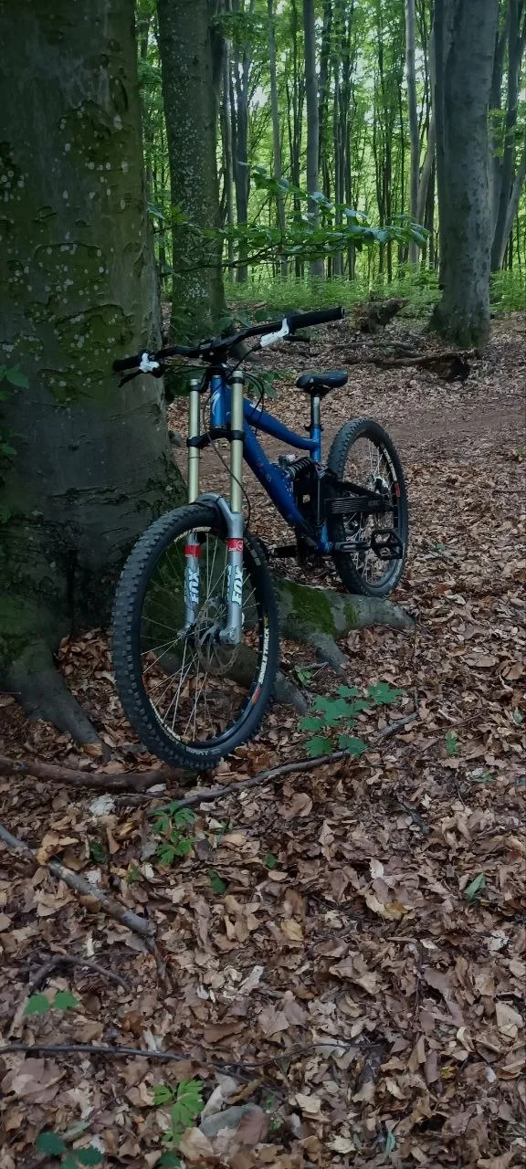 Specialized Big Hit Sport + Rock Shox Boxxer + Fox Vanilla RS фото 5