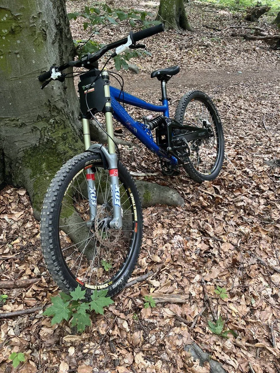 Specialized Big Hit Sport + Rock Shox Boxxer + Fox Vanilla RS фото 6