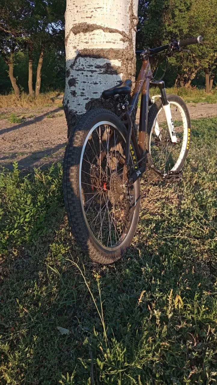 Norco Sasquatch MTB фото 3