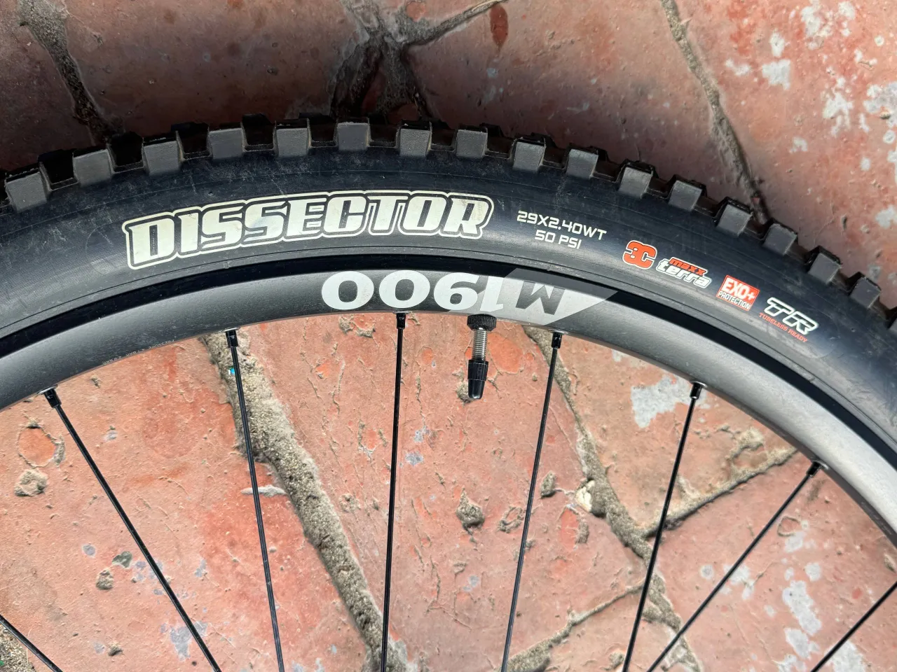 Колесо DT Swiss M1900 29" Boost 148x12 + покришка Maxxis Dissector фото 2