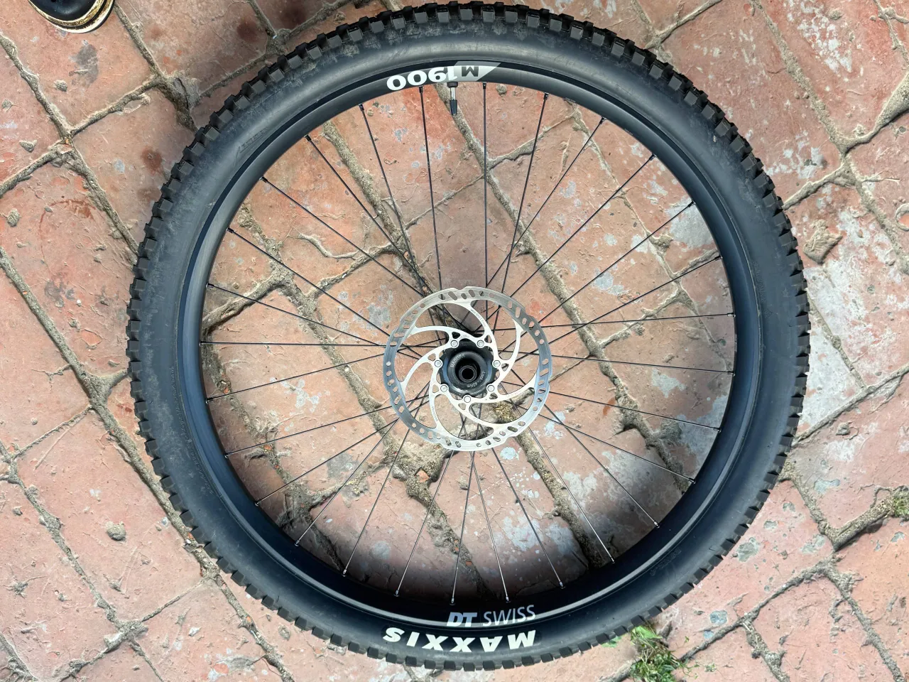 Колесо DT Swiss M1900 29" Boost 148x12 + покришка Maxxis Dissector фото 4