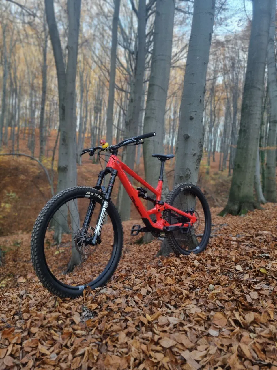 YT Capra 29 двопідвісний карбоновий велосипед L фото 1