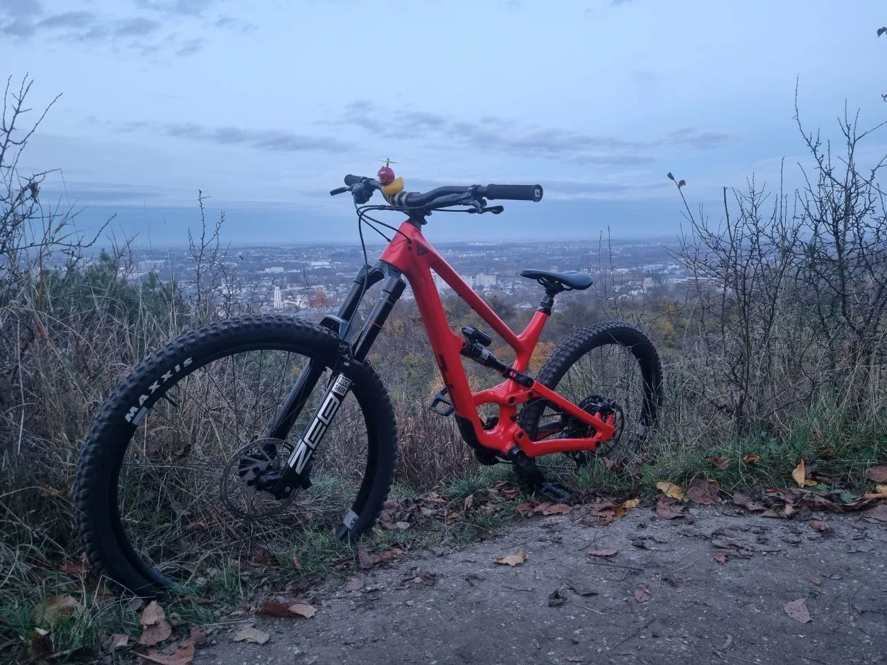 YT Capra 29 двопідвісний карбоновий велосипед L фото 4