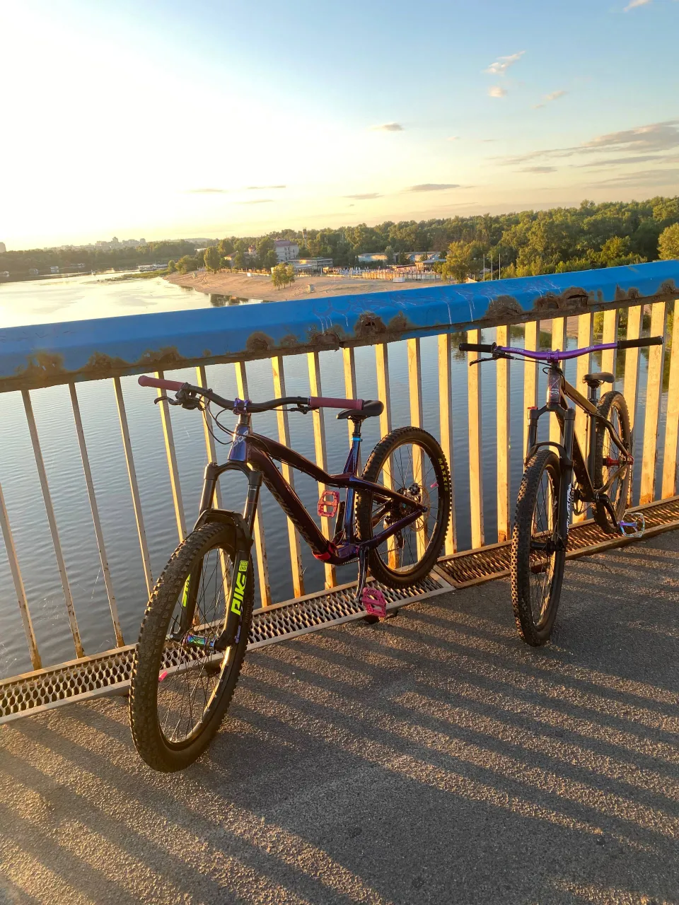 Dartmoor Hornet Pro 27.5 кастомна збірка фото 1