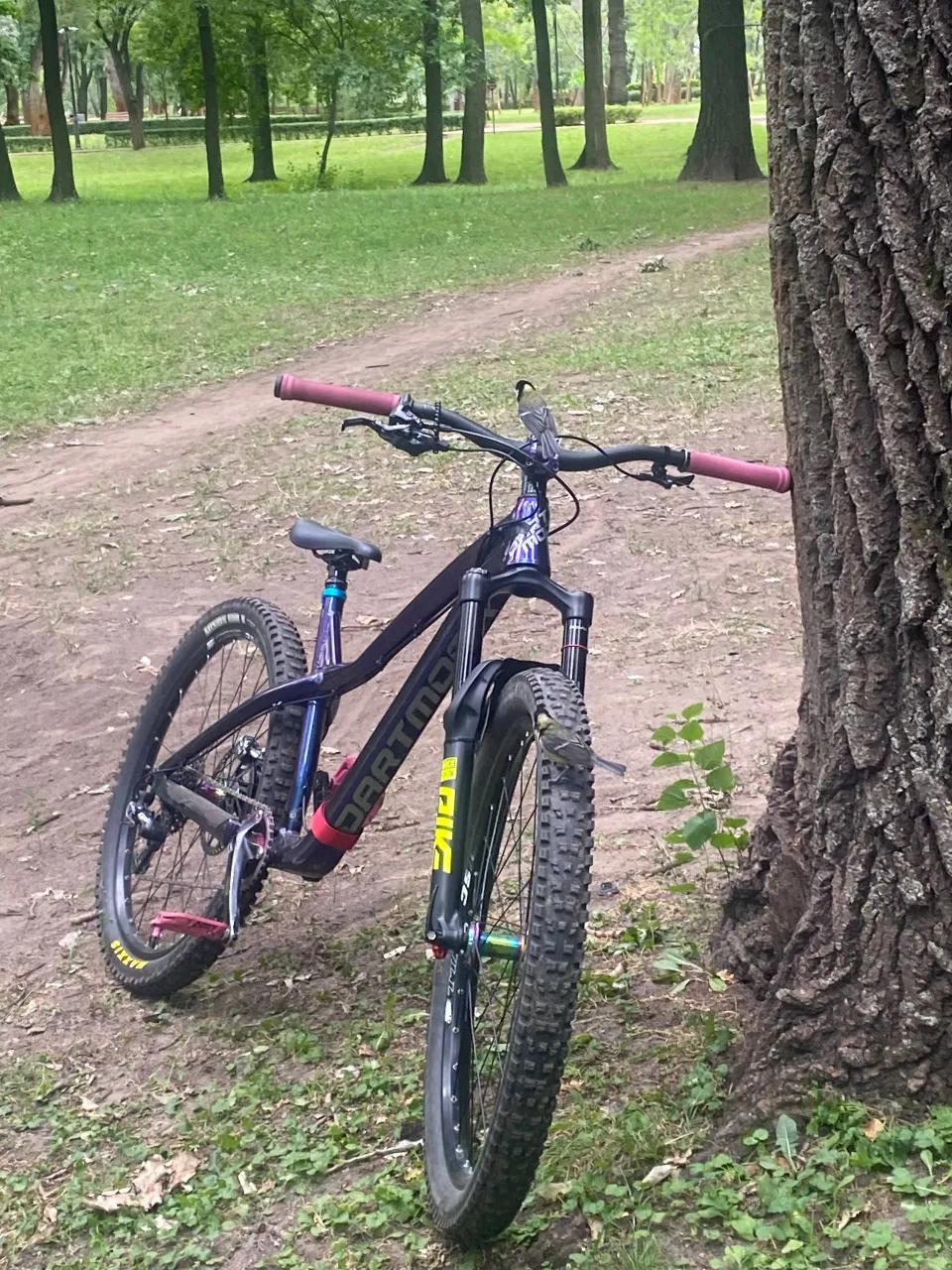 Dartmoor Hornet Pro 27.5 кастомна збірка фото 2