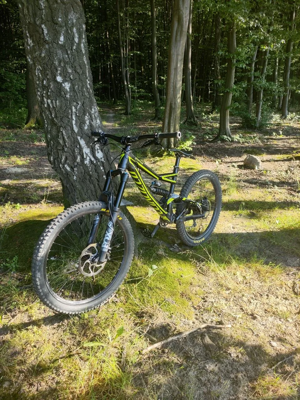 Specialized Status 2 фото 1