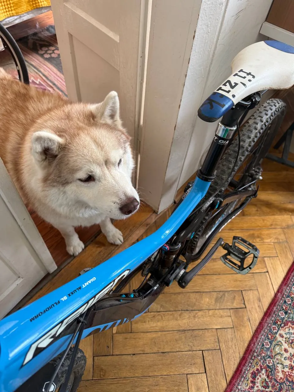 Giant Reign 1 26" S Fox Shimano SLX фото 3