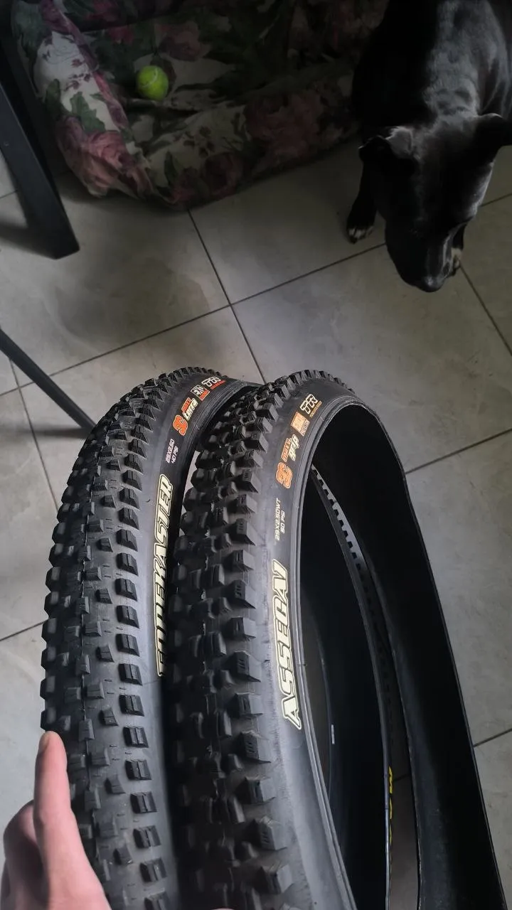Maxxis Forekaster 29x2.6" WT + Maxxis Assegai 29x2.50" WT фото 1