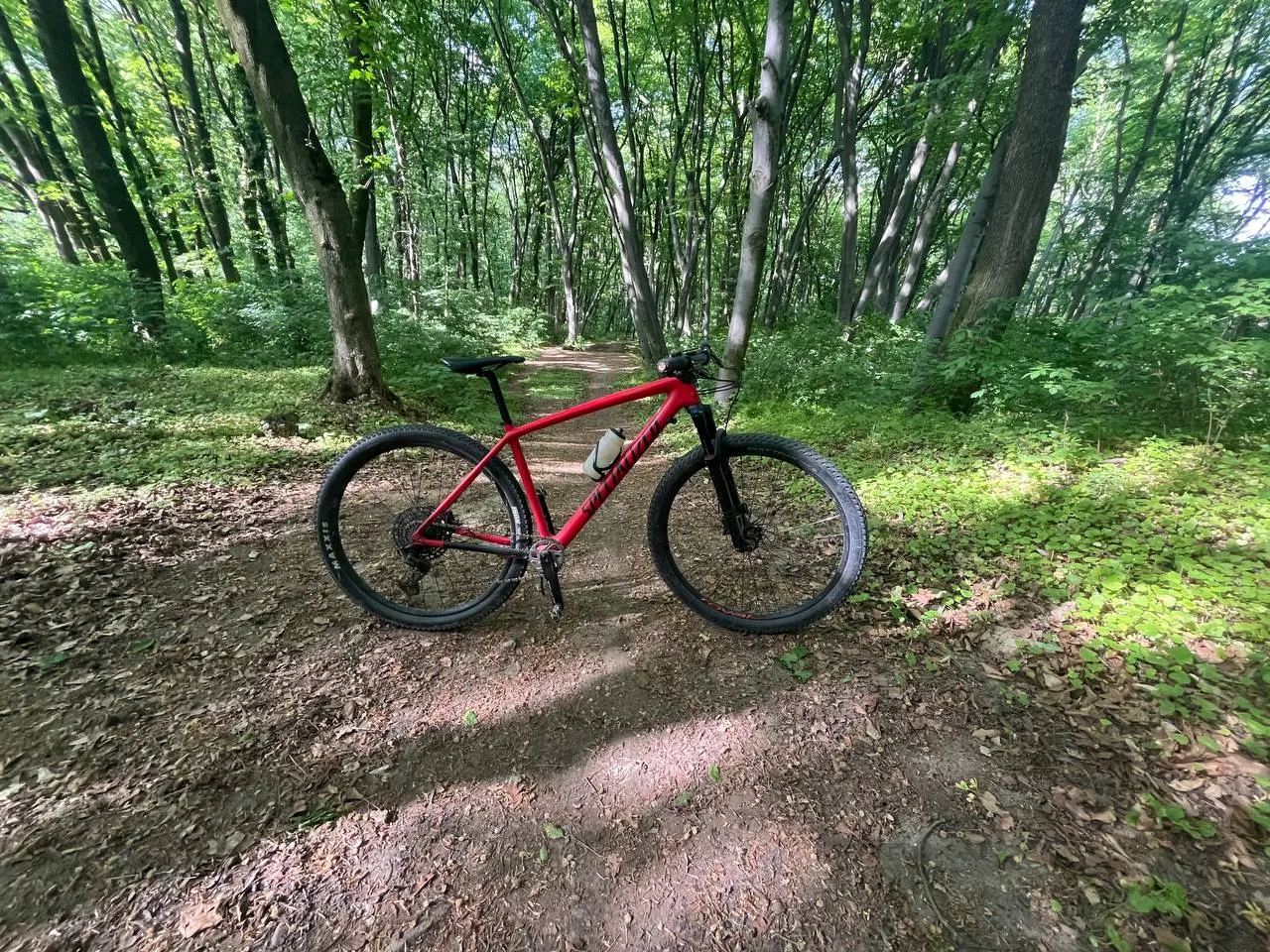 Specialized Epic 2019 L фото 1