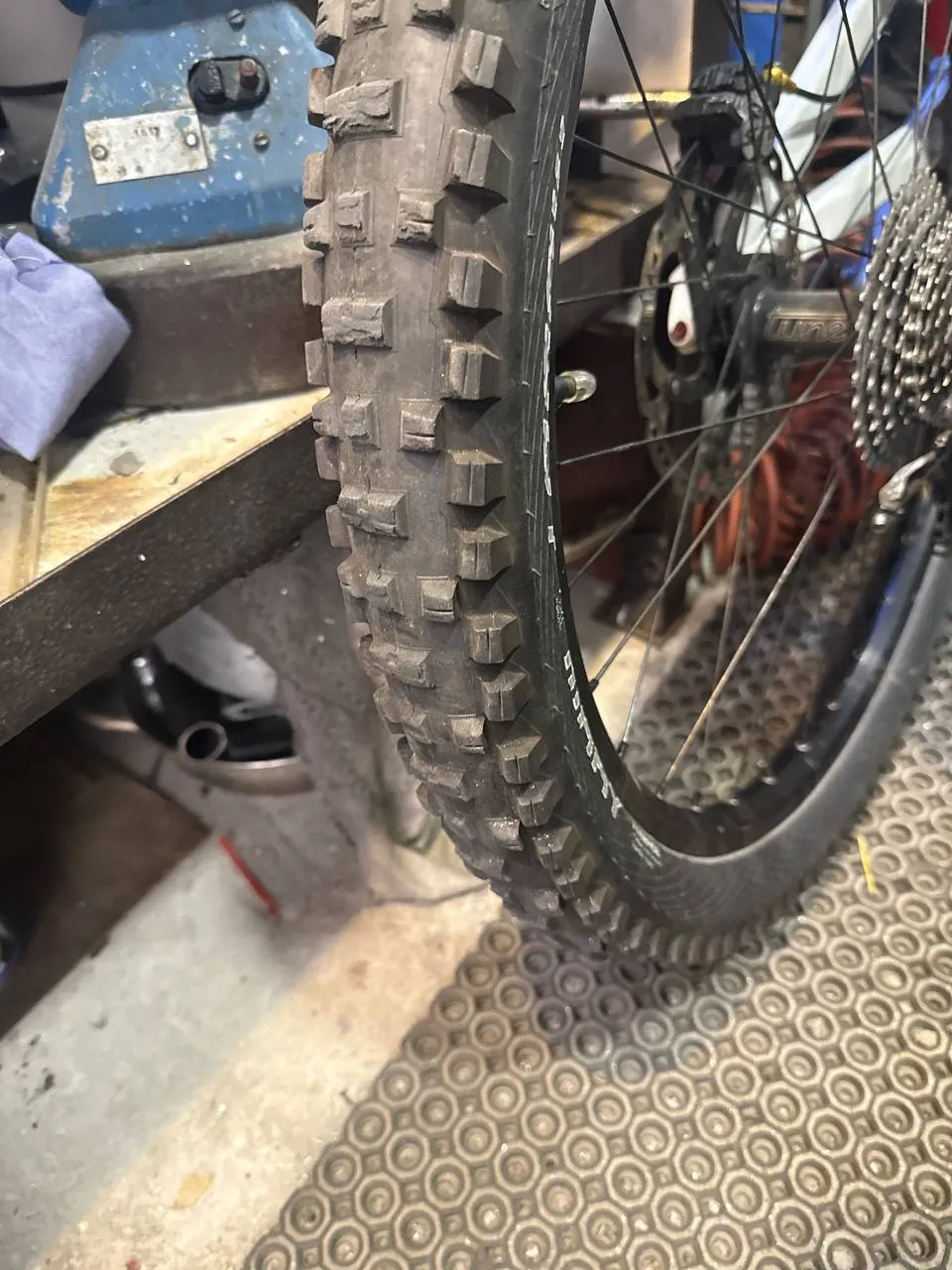 Покришки Schwalbe Magic Mary 26×2.5 на Maxxis або Continental фото 2