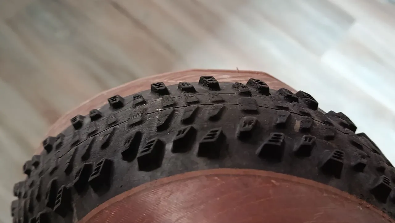 Покришка Schwalbe Racing Ralph 29 фото 4
