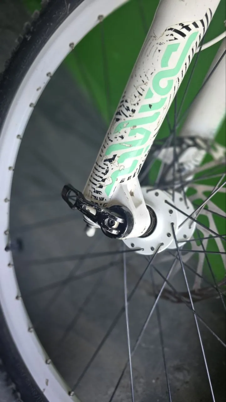 Вилка Rock Shox 200mm 20x110 фото 3