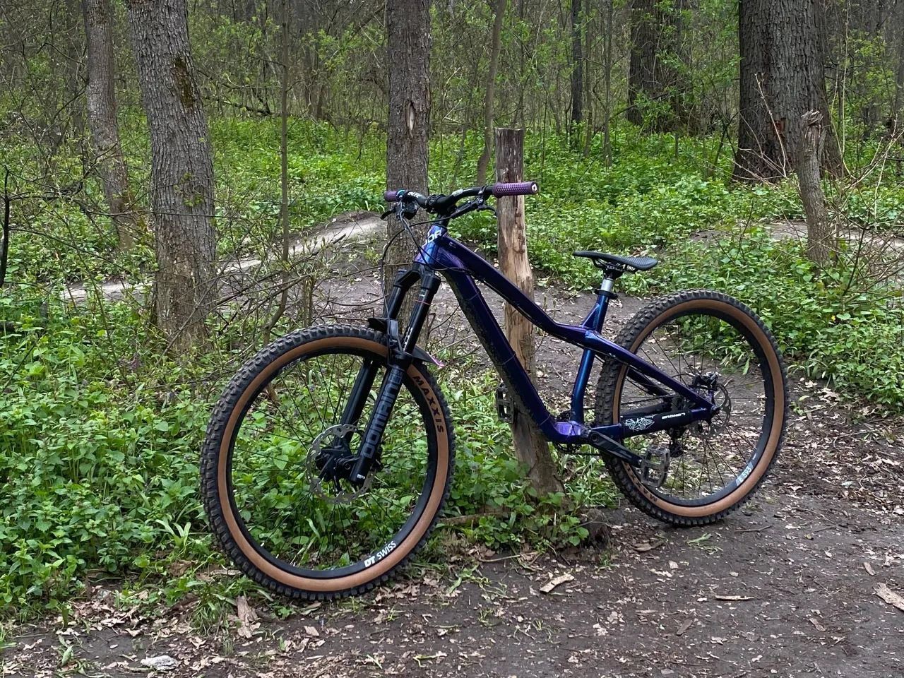 Велосипед Dartmoor Hornet Pro M 27.5 custom фото 1