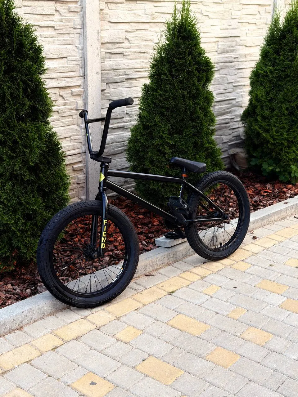 BMX Fiend Type B фото 1