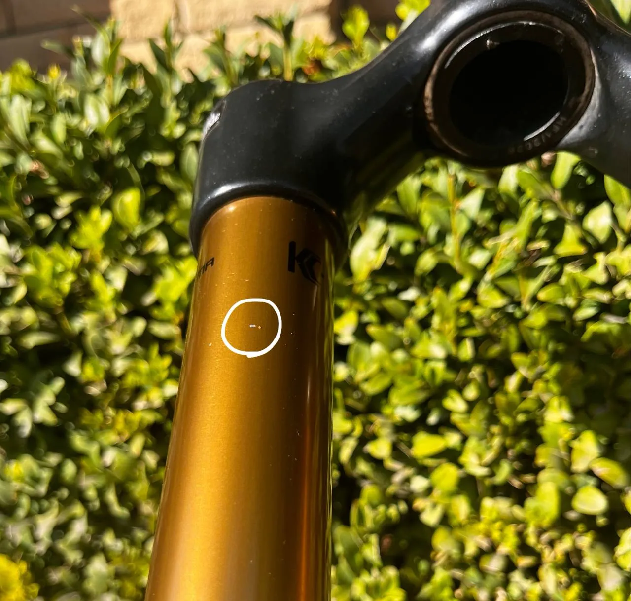 Вилка Fox 36 Factory Kashima 170mm фото 4