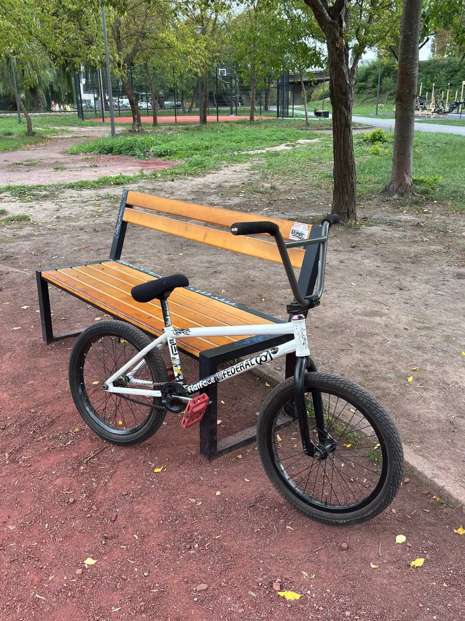 BMX Street/Park KINK Williams 21 + Radio шатуни фото 1
