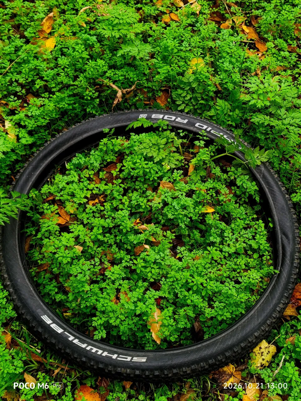 Покришка Schwalbe 26x2.25 фото 1
