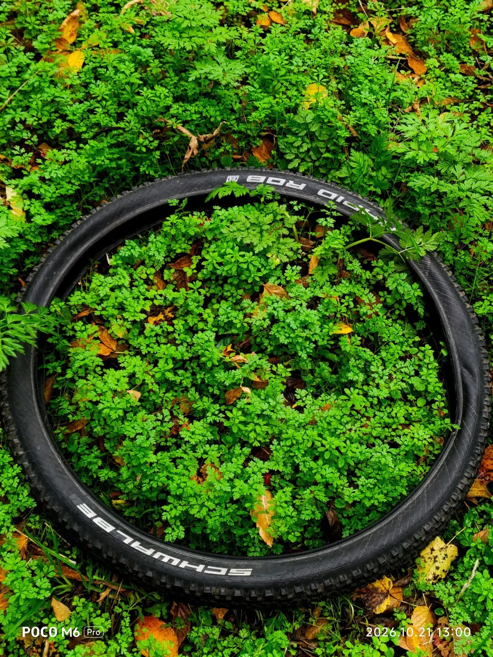 Покришка Schwalbe 26x2.25 фото 2