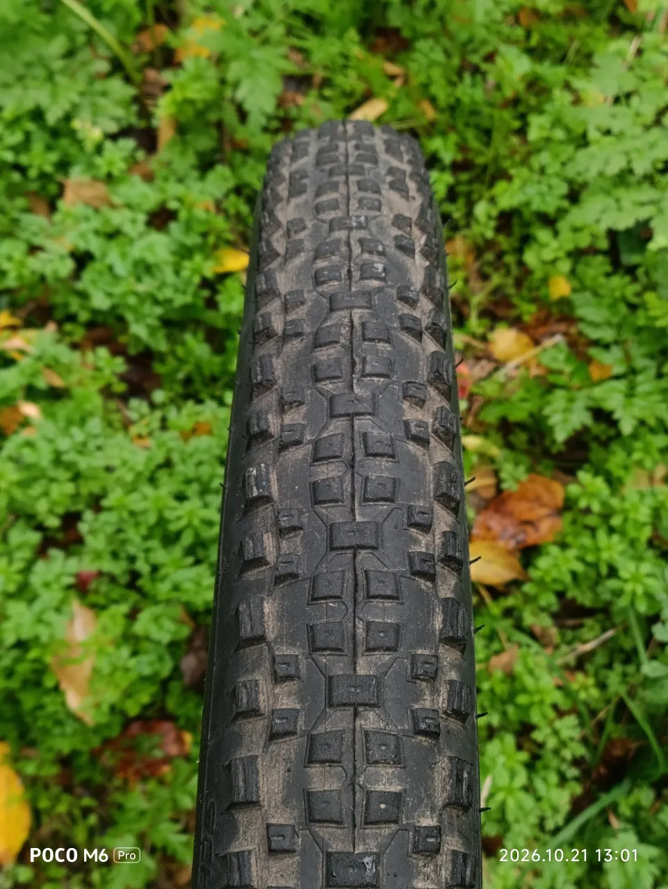 Покришка Schwalbe 26x2.25 фото 3