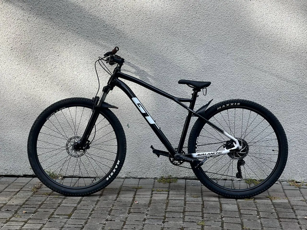 GT Avalanche L фото 1