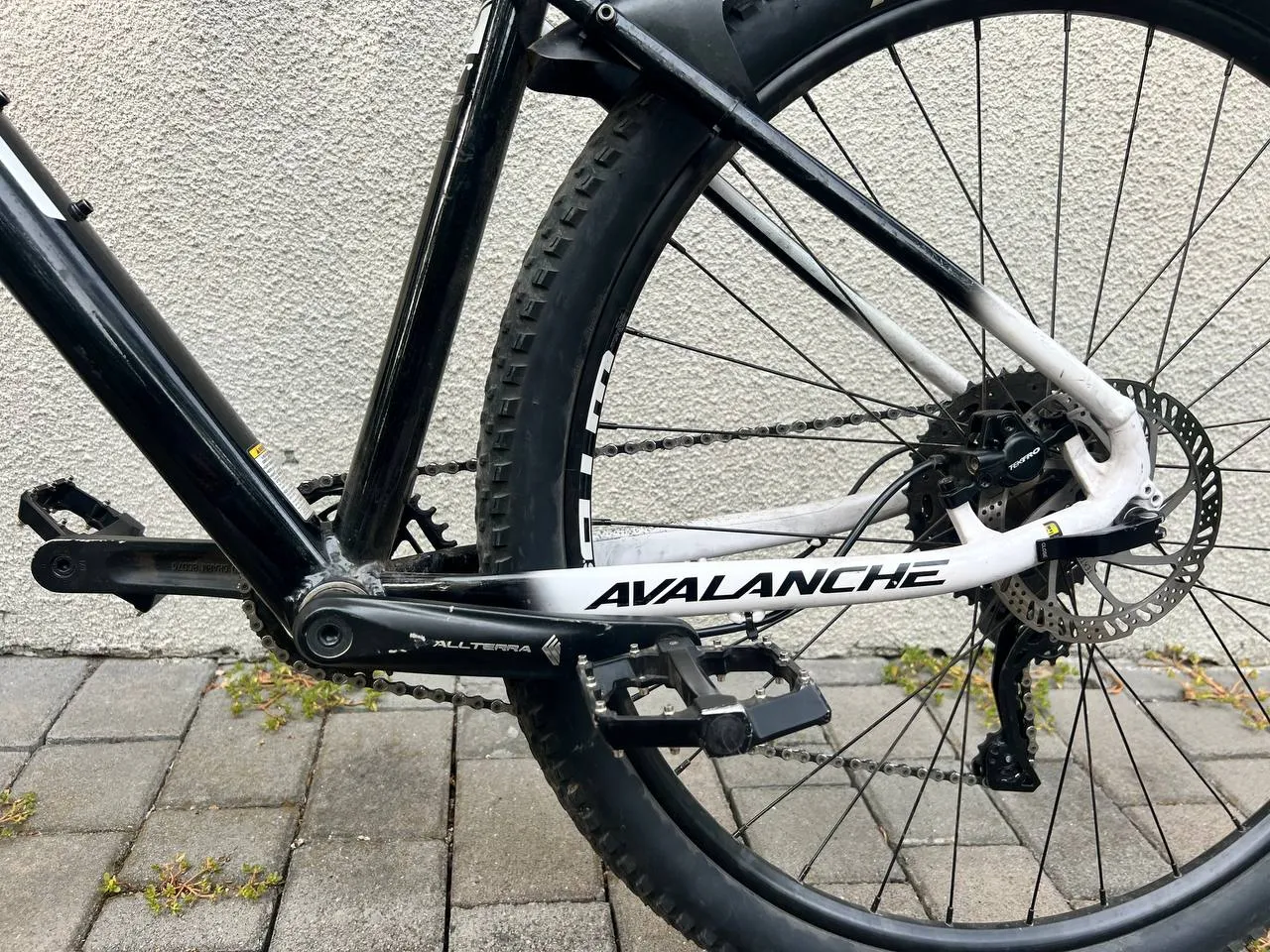 GT Avalanche L фото 2