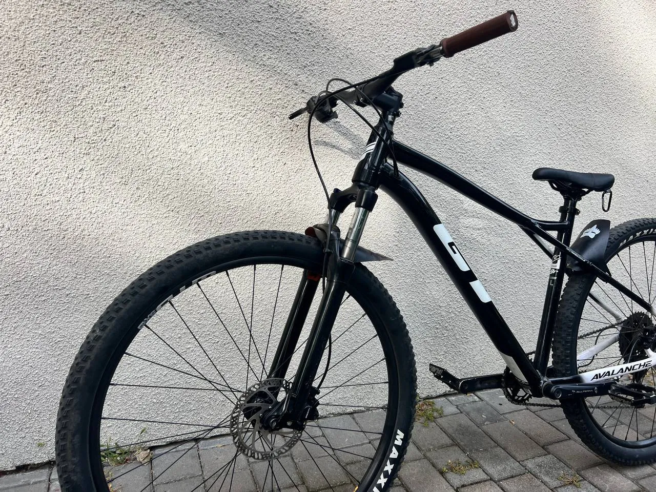 GT Avalanche L фото 3