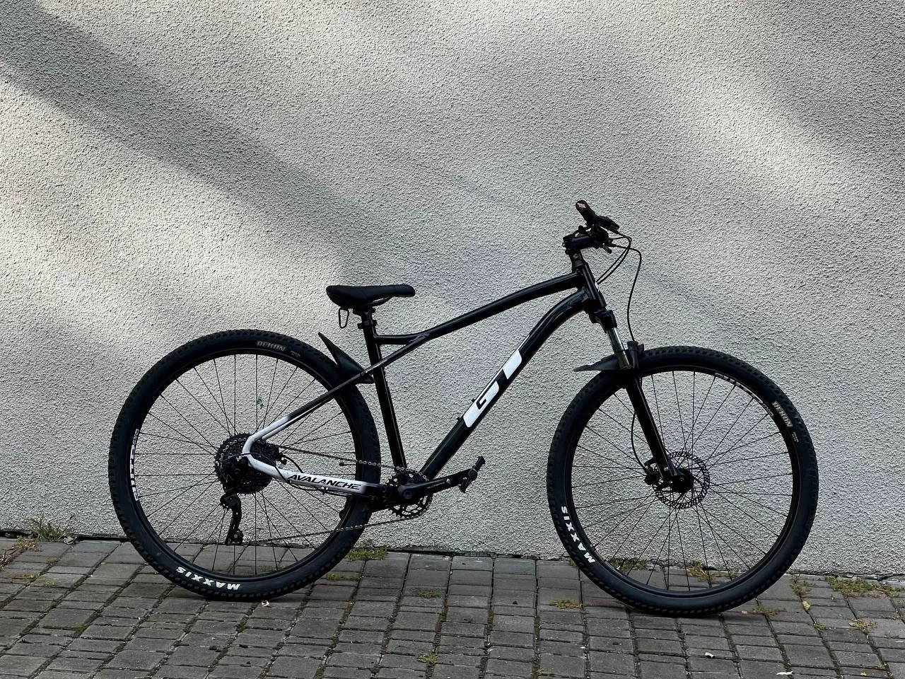 GT Avalanche L фото 6