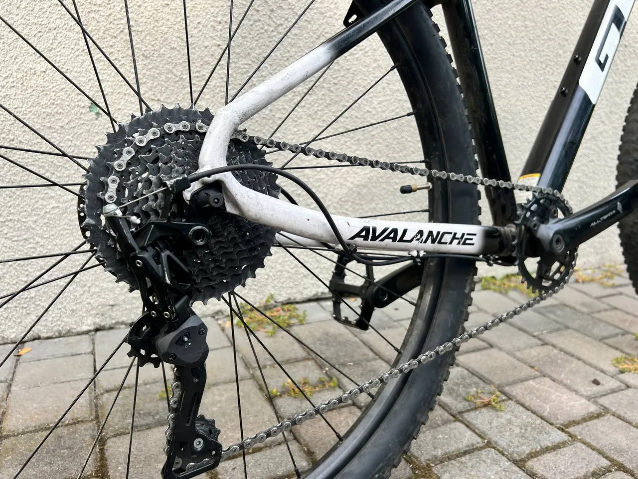 GT Avalanche L фото 8