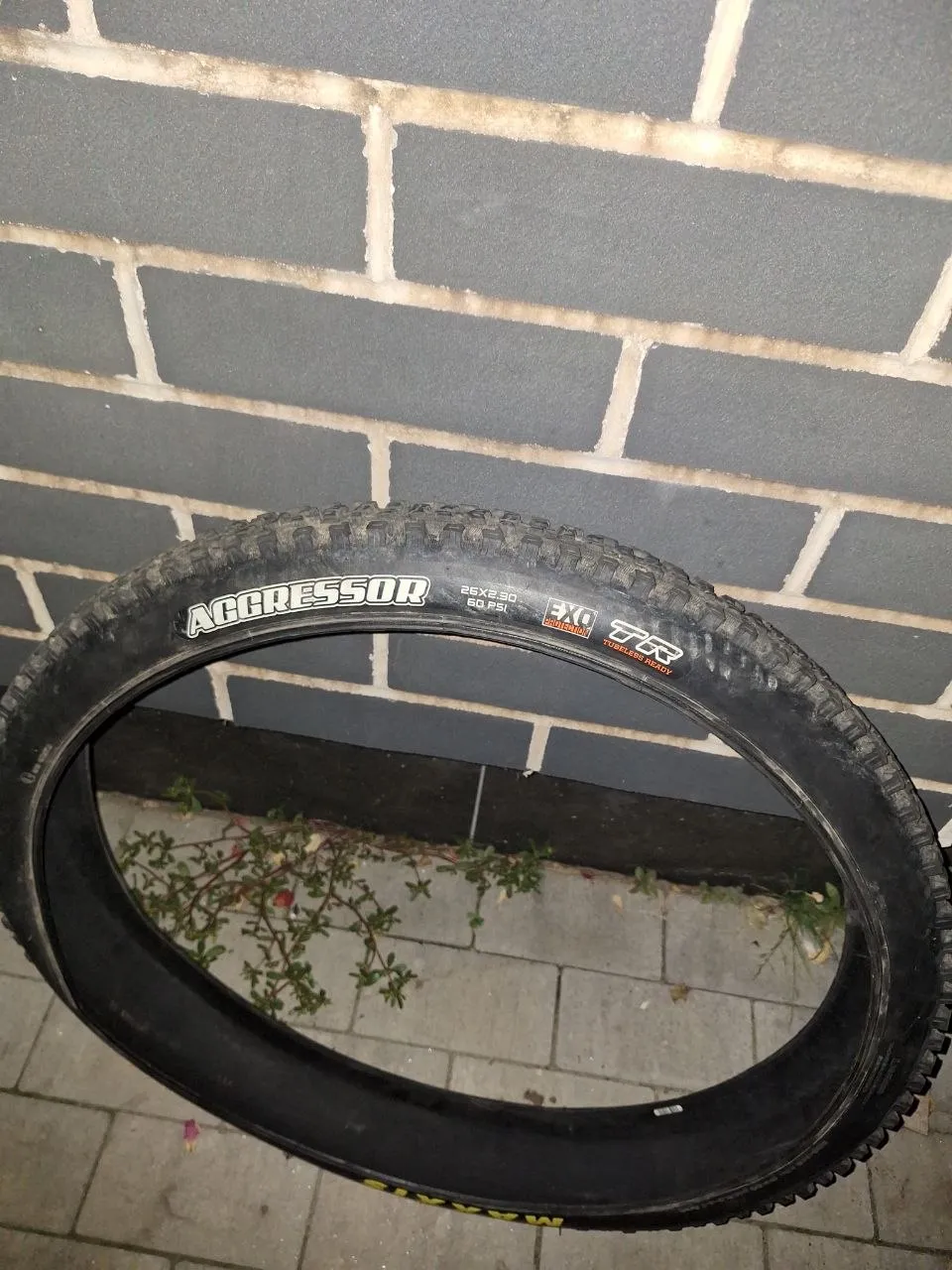Покришка Maxxis Aggressor EXO 26x2.30 фото 2