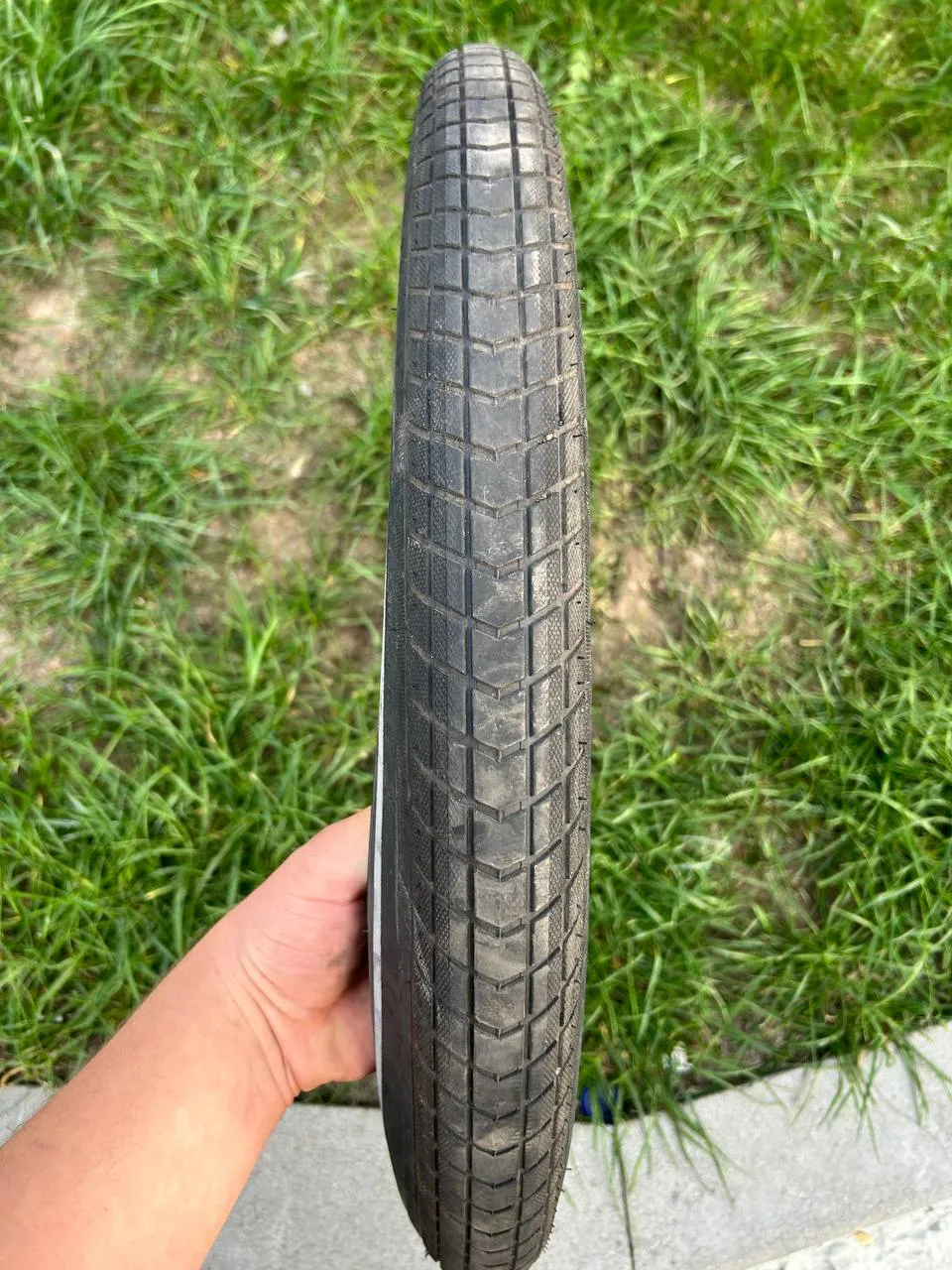 Покришка Schwalbe Big Ben Plus фото 2