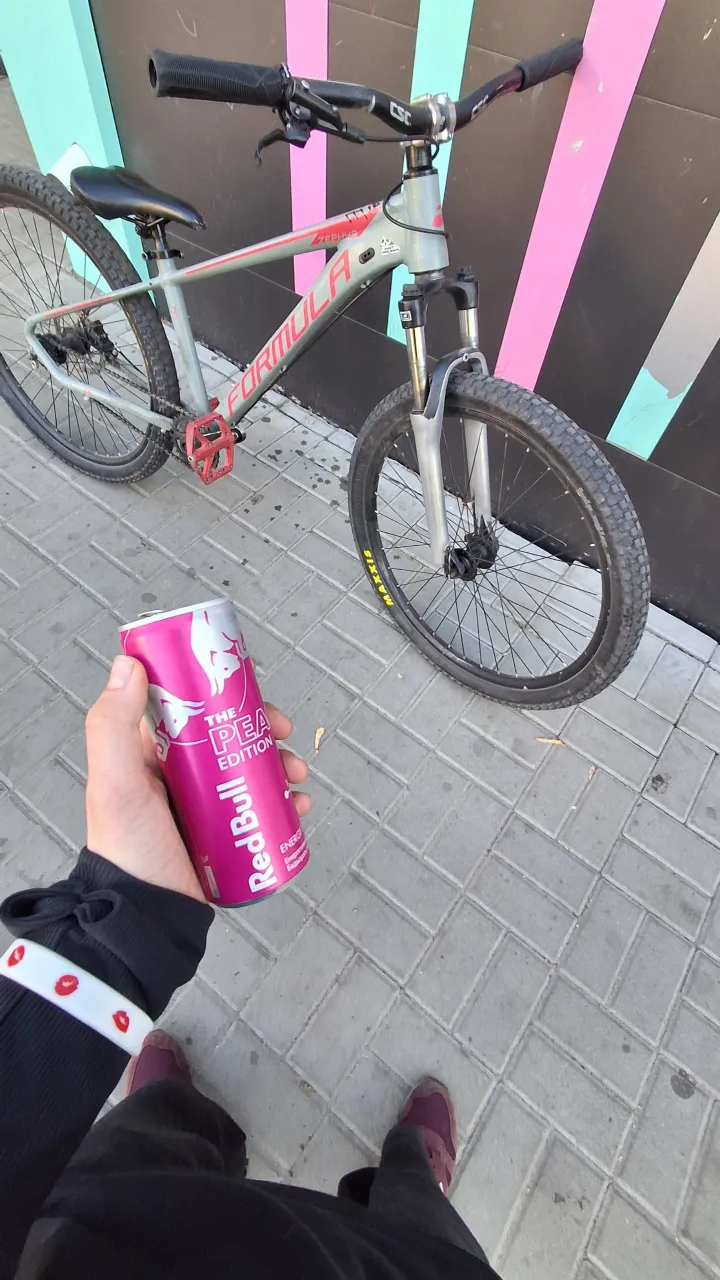 Велосипед Formula Zephyr 3.0 dirt фото 1