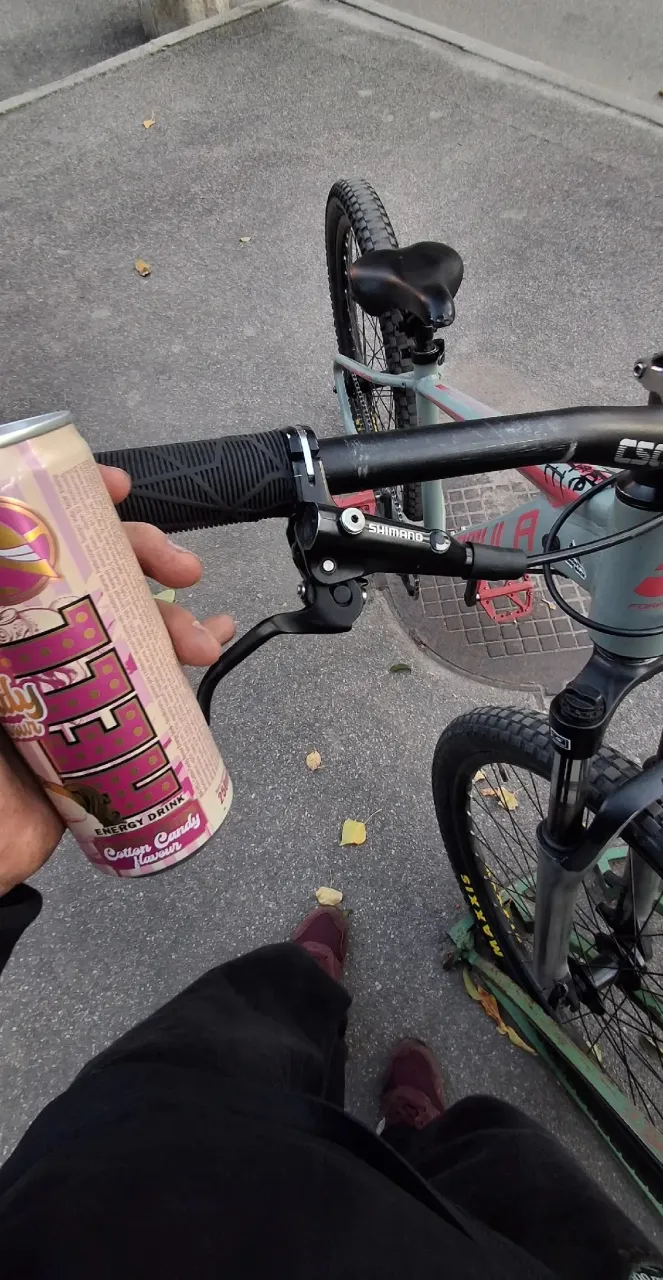Велосипед Formula Zephyr 3.0 dirt фото 2