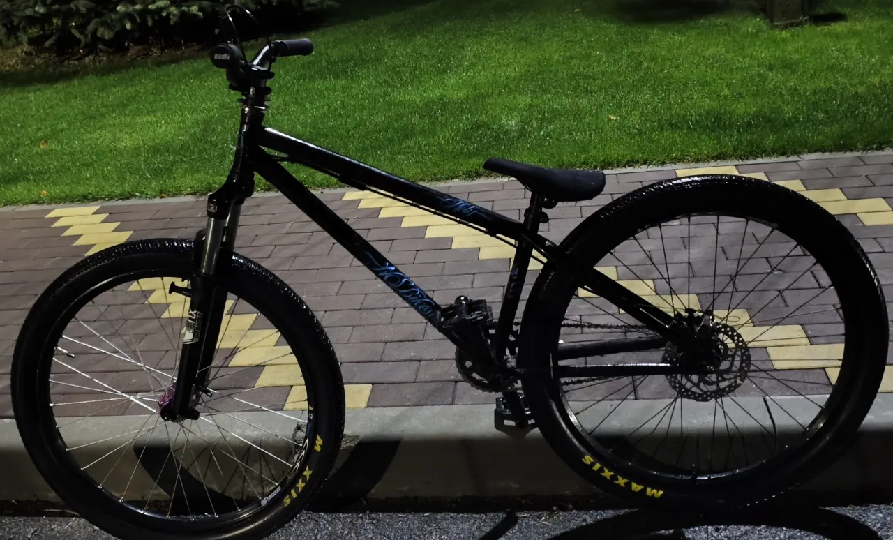 NS Bikes Holy M фото 1